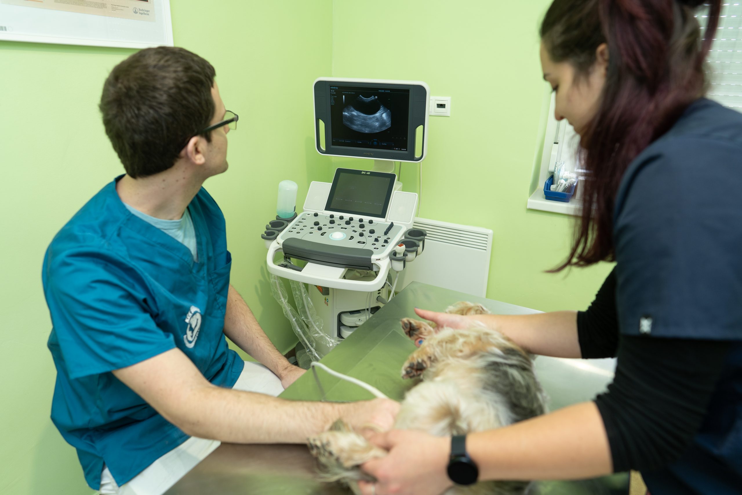ultrahang-röntgen-specialista-kivizsgálás
